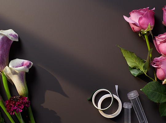 Castle.Proxies.IUpCardProxy?.CardImage?.AltText