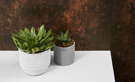 M9424 Copper Patina and 103 Frost desk with plant