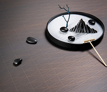 Castle.Proxies.IUpCardProxy?.CardImage?.AltText