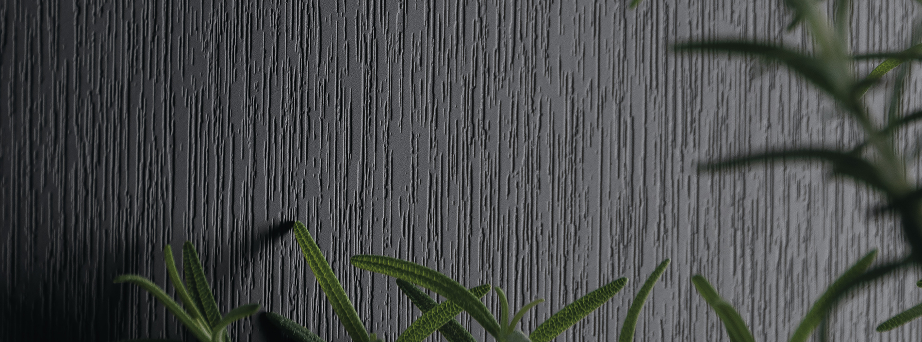 Naturelle feature card 1900x705