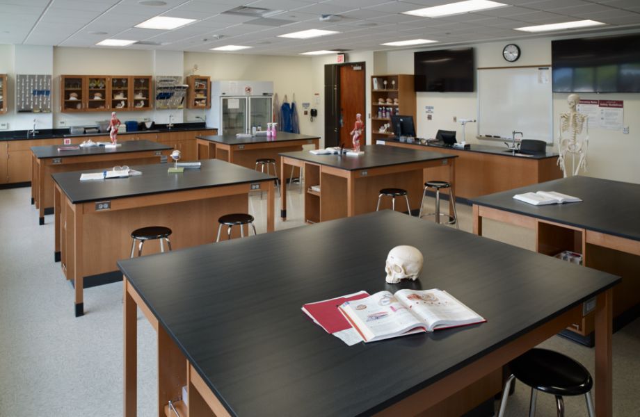 Classroom with woodgrain desks and black countertop, with anatomy models and books