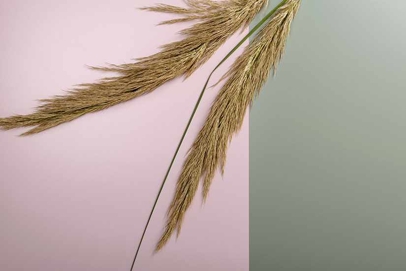 5 Colour of Summer 825x550