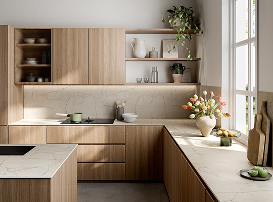 Castle.Proxies.IUpCardProxy?.CardImage?.AltText