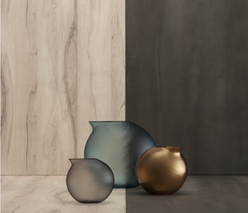 Castle.Proxies.IUpCardProxy?.CardImage?.AltText