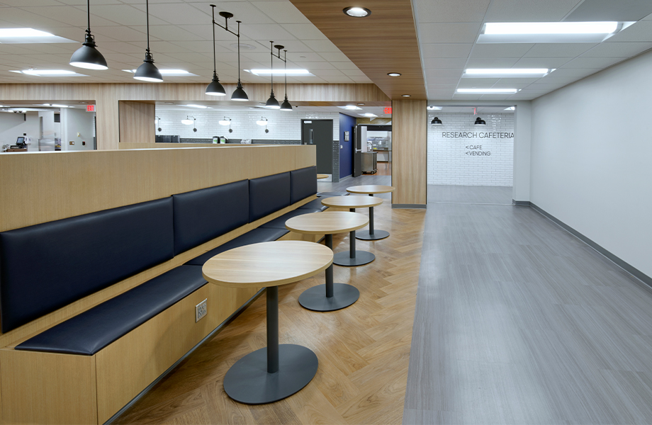 Glass.Mapper.Sc.Fields.Image?.Alt