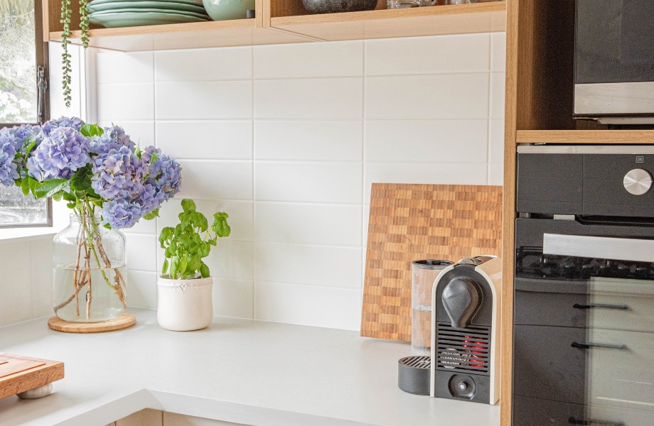 Paloma polar cubierta de cocina