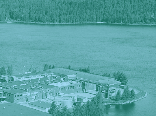 Castle.Proxies.IUpCardProxy?.CardImage?.AltText