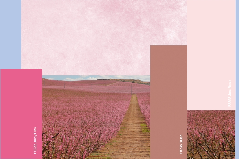 Pink Palette 825x550
