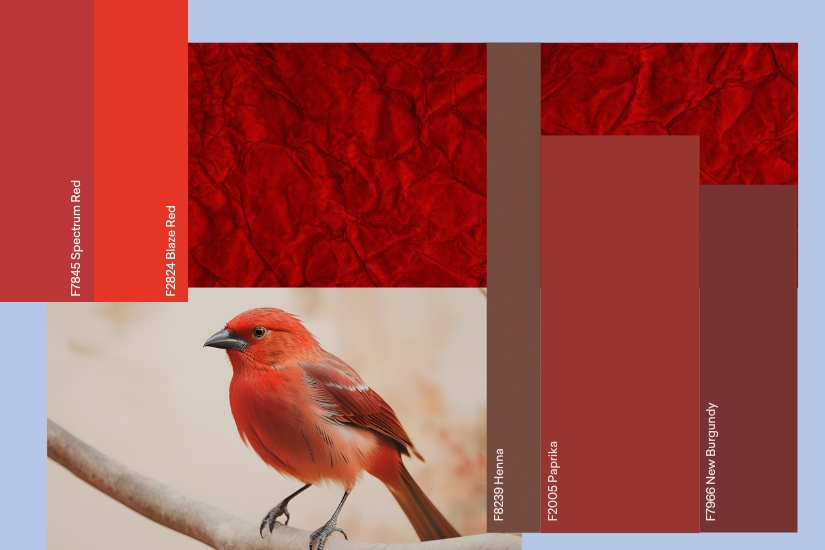 Red Palette 825x550