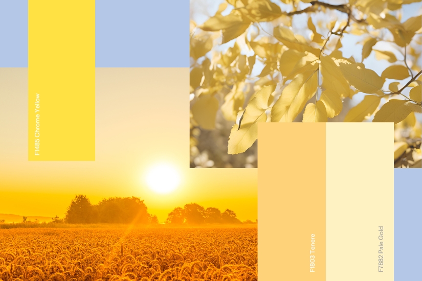 Yellow Palette 825x550