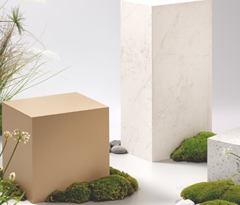 Castle.Proxies.IUpCardProxy?.CardImage?.AltText