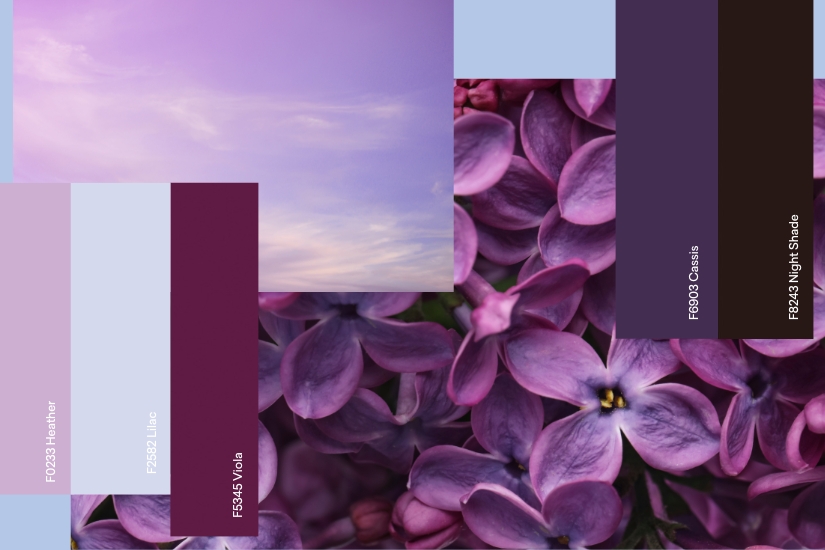 Purple Palette 825x550