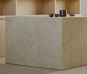 Castle.Proxies.IUpCardProxy?.CardImage?.AltText